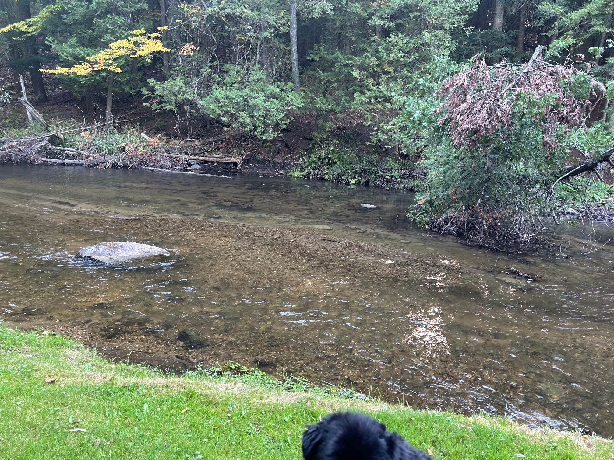 Camper submitted image from Northern Bear Paw RV Park - 4