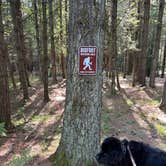 Review photo of Northern Bear Paw RV Park by Colin L., May 29, 2025