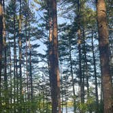 Review photo of Musky Lake Campground — Northern Highland - American Legion State Forest by Ane V., June 4, 2026