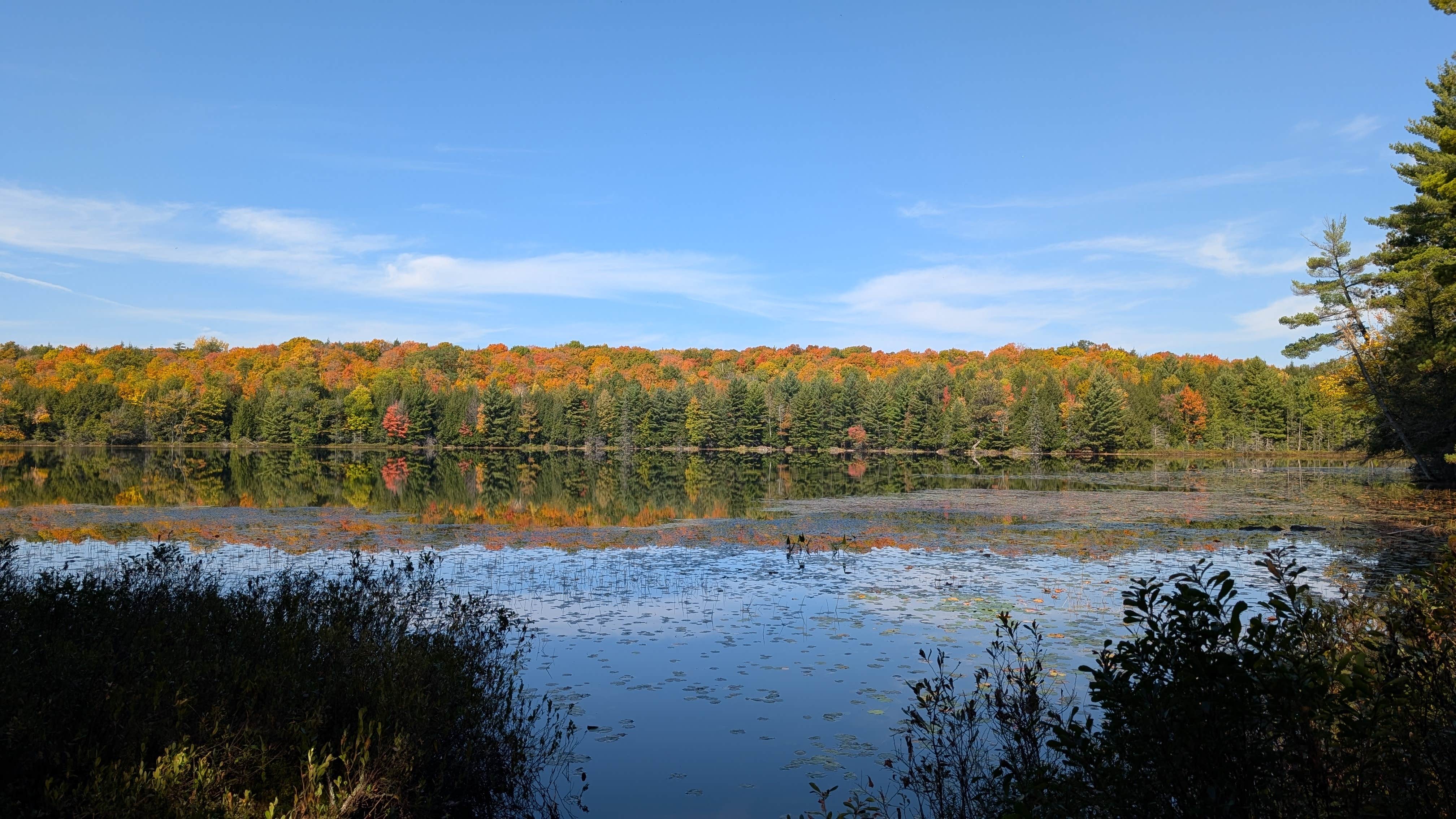 Musky Lake Campground — Northern Highland State Forest