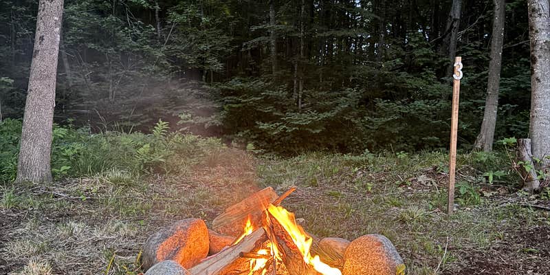 Camper submitted image from Northern Nursery Brookside Campsites