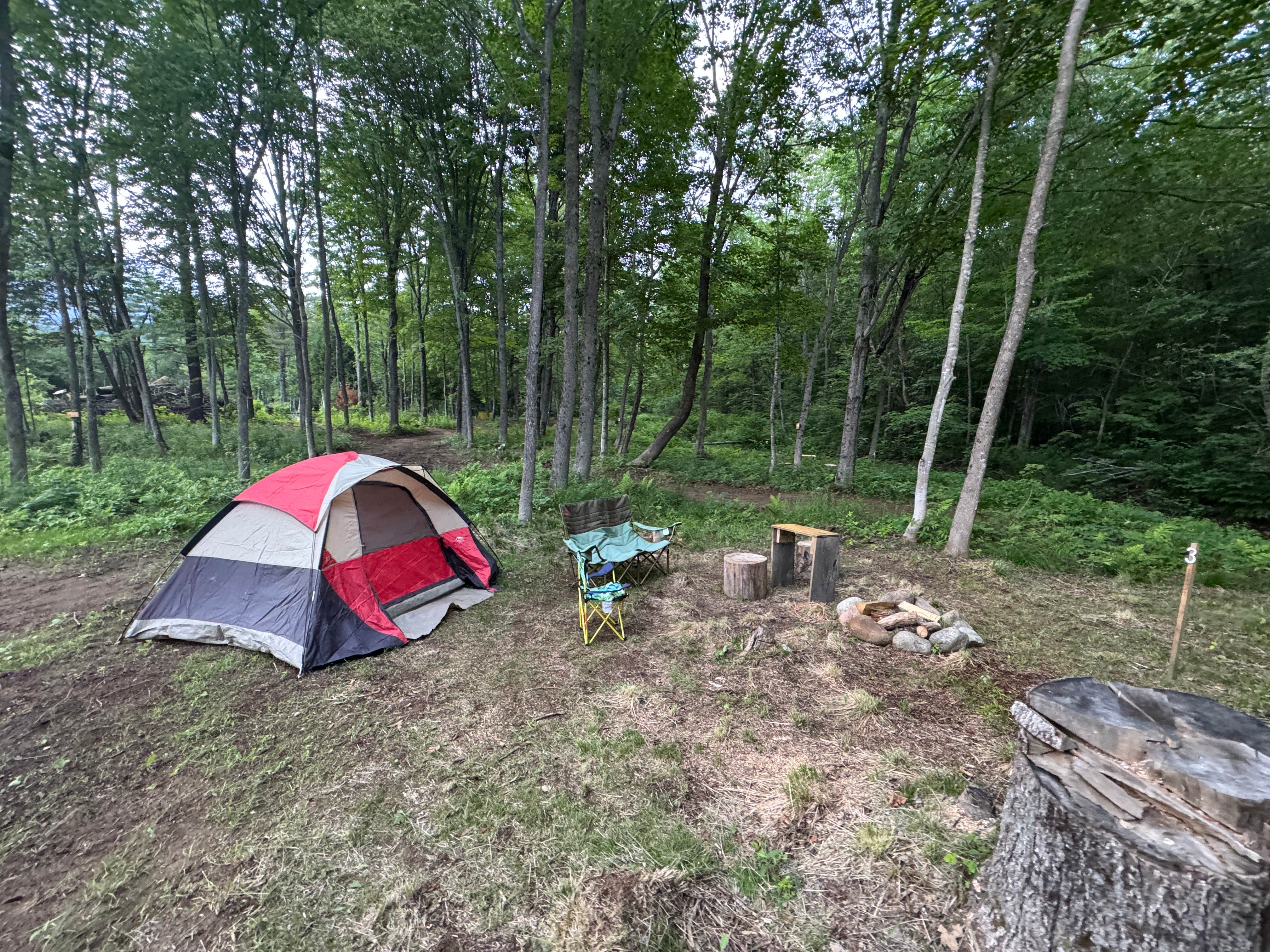 Jake  C.'s photo of tent camping at Northern Nursery Brookside Campsites near Belmont, NH