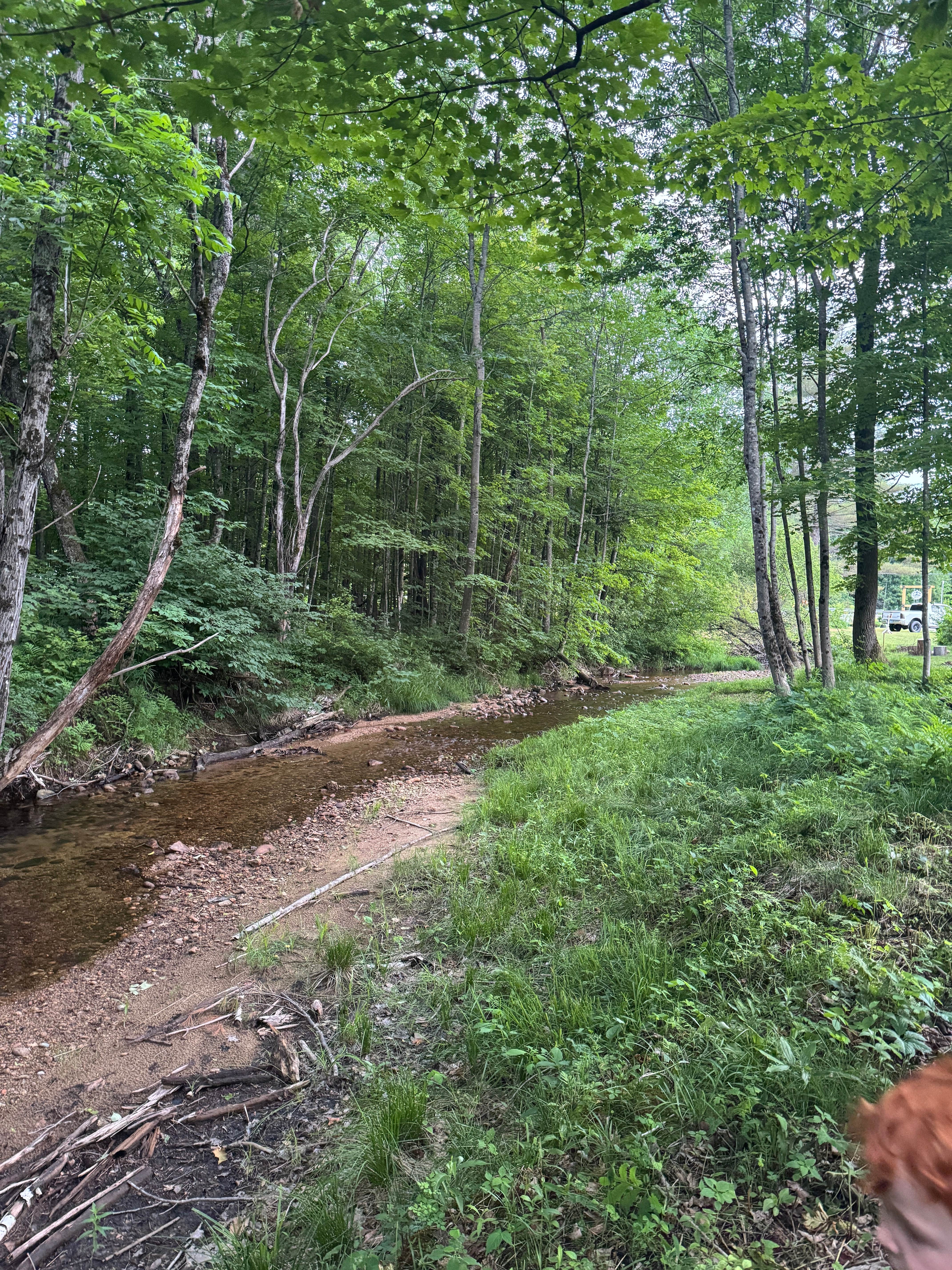 Camper-submitted photo at Northern Nursery Brookside Campsites near Eaton Center, NH