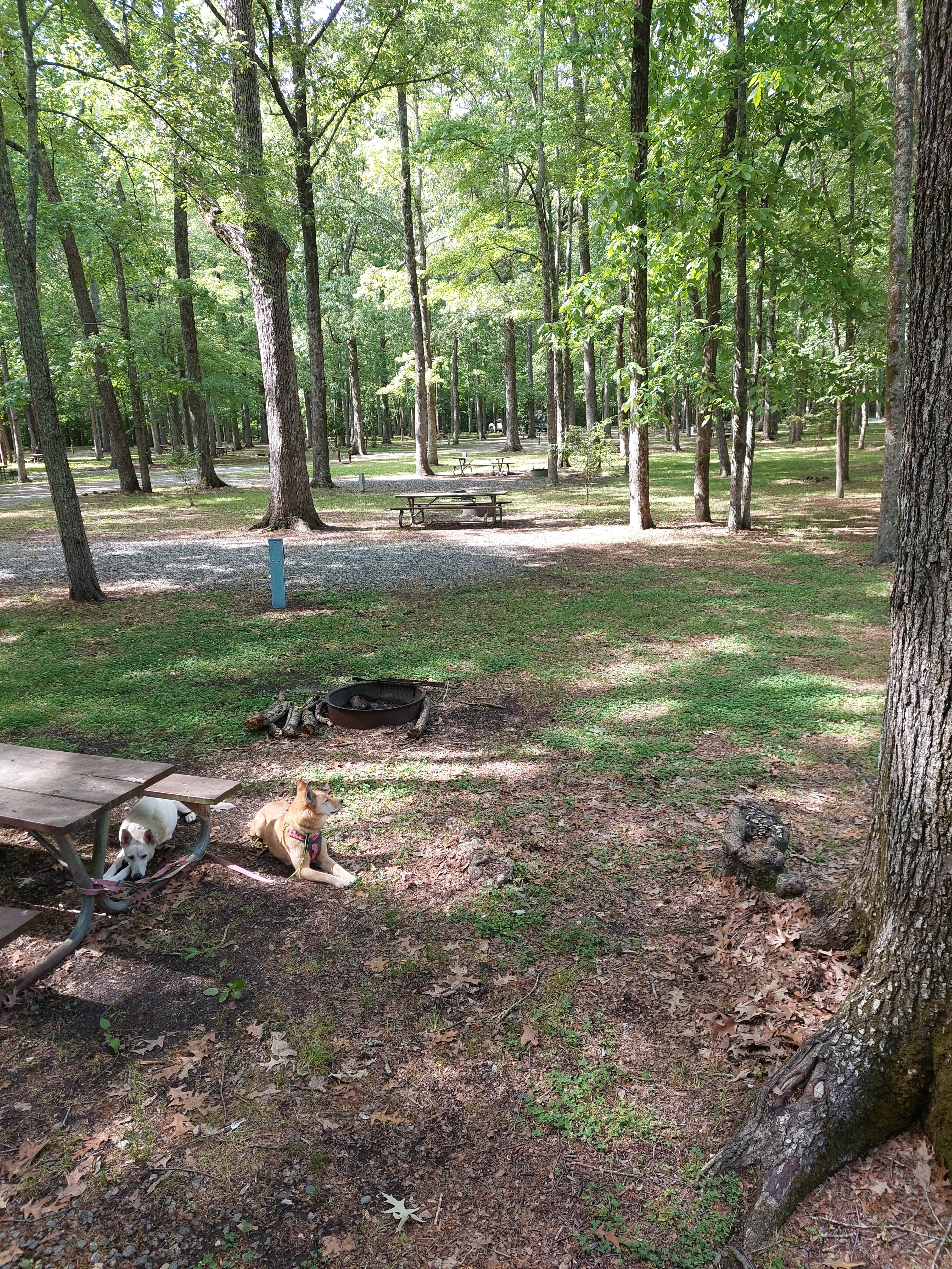 Camper-submitted photo at Northwest River Park & Campground near Greenwood, VA