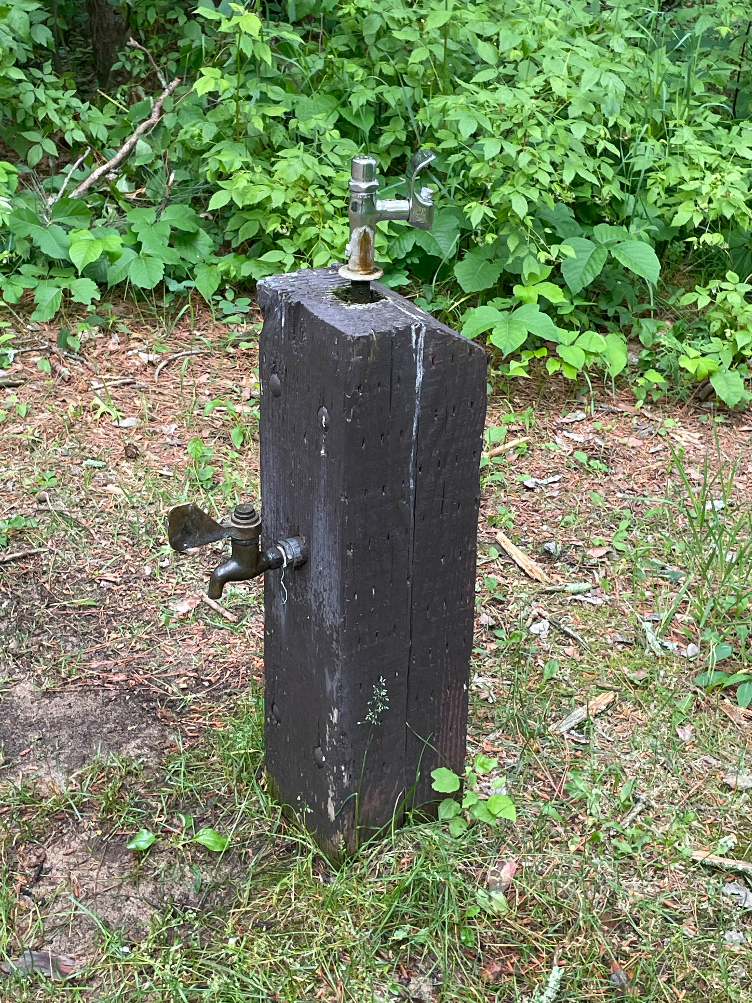 Camper submitted image from Norway Beach Recreation Area - Chippewa Loop - 5