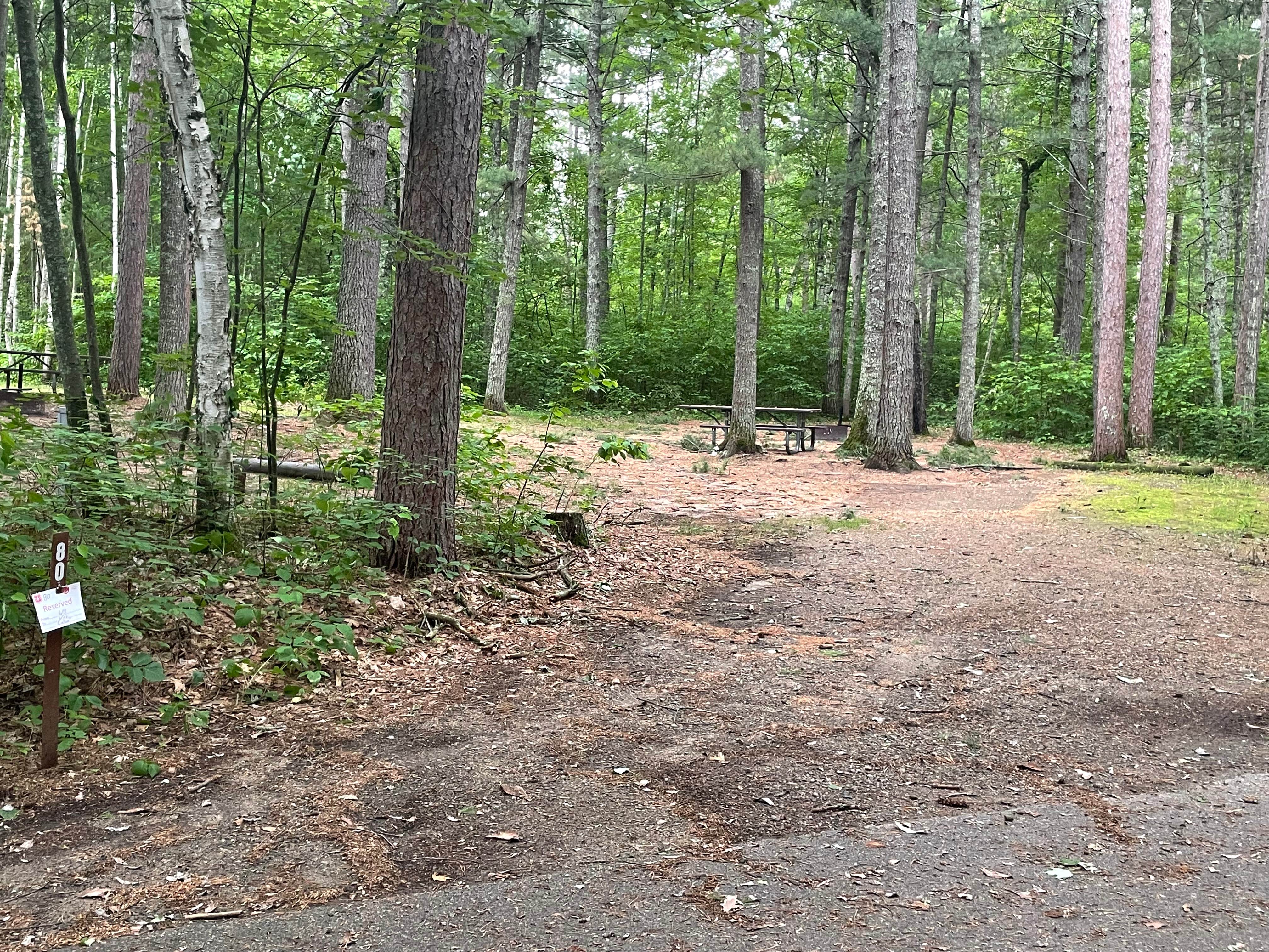 Camper submitted image from Norway Beach Recreation Area - Chippewa Loop - 2