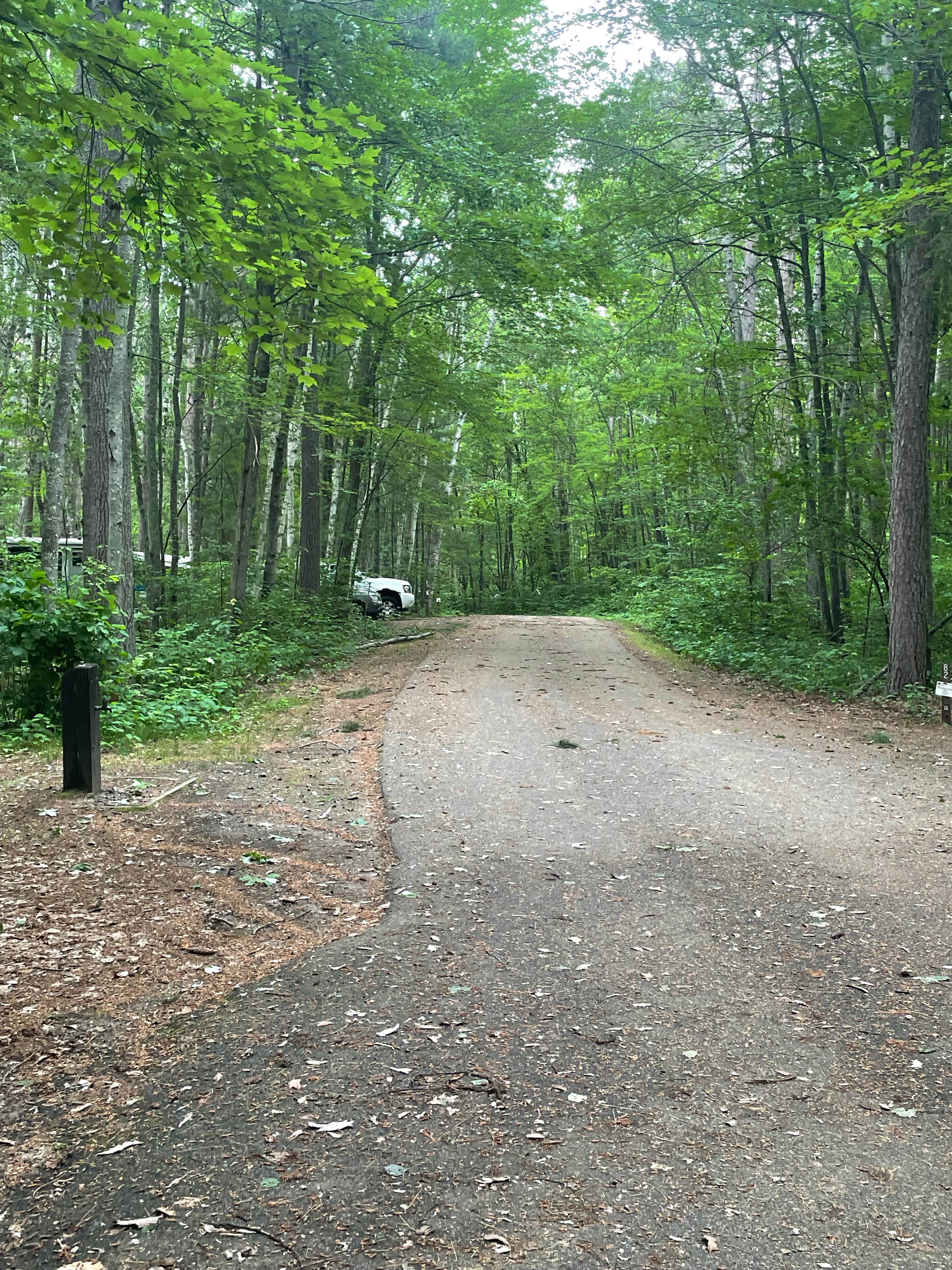 Camper submitted image from Norway Beach Recreation Area - Chippewa Loop - 3