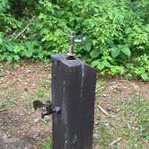 Review photo of Norway Beach Recreation Area - Chippewa Loop by Mark J., June 23, 2025