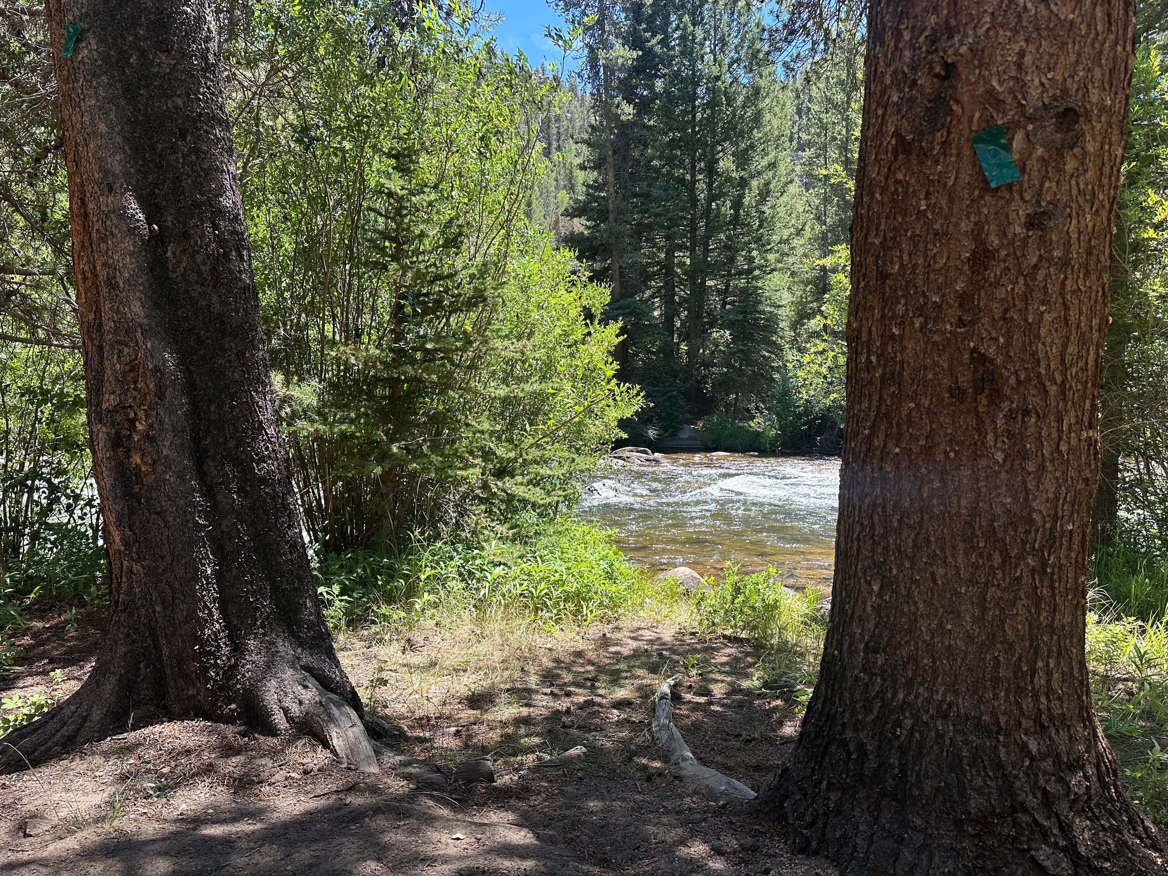 Camping near One Mile Campground: Noth Bank Campground, Almont, Colorado