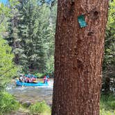 Review photo of Noth Bank Campground by Lisa K., August 5, 2025