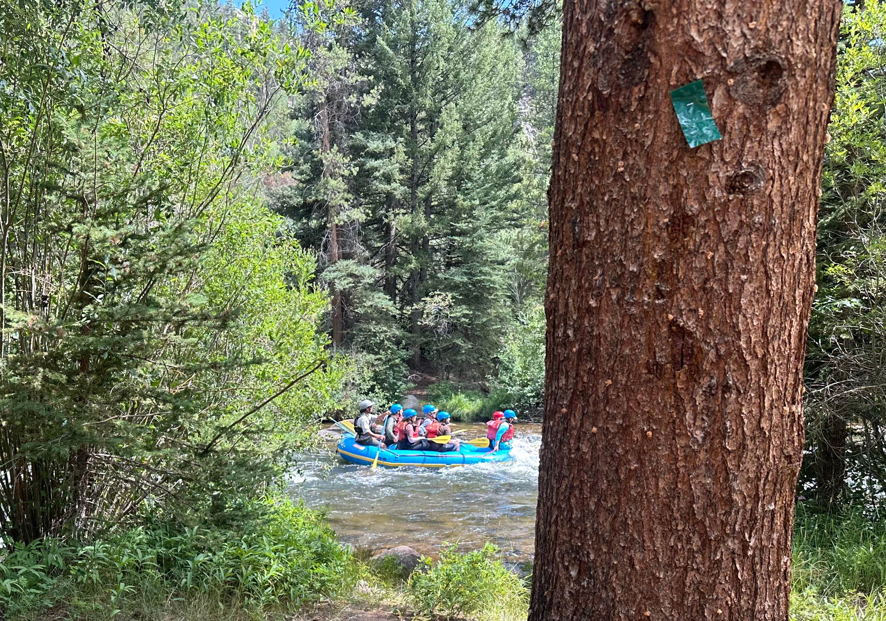 Camper submitted image from Noth Bank Campground - 3
