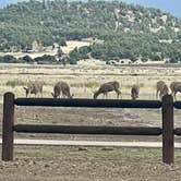 Review photo of NRA Whittington Center Campground by Cher & Walter P., May 10, 2025