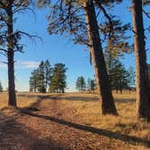 Review photo of O'dell Creek by Matthew W., February 28, 2026