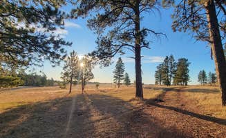Matthew W.'s photo of a dispersed camping area at O'dell Creek in Montana