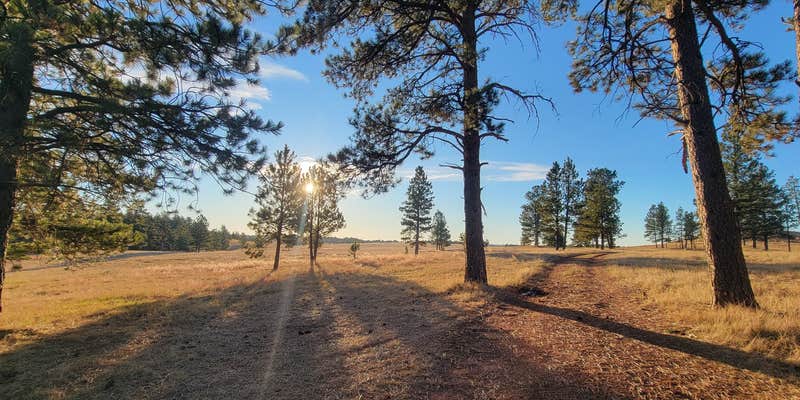 Camper submitted image from O'dell Creek