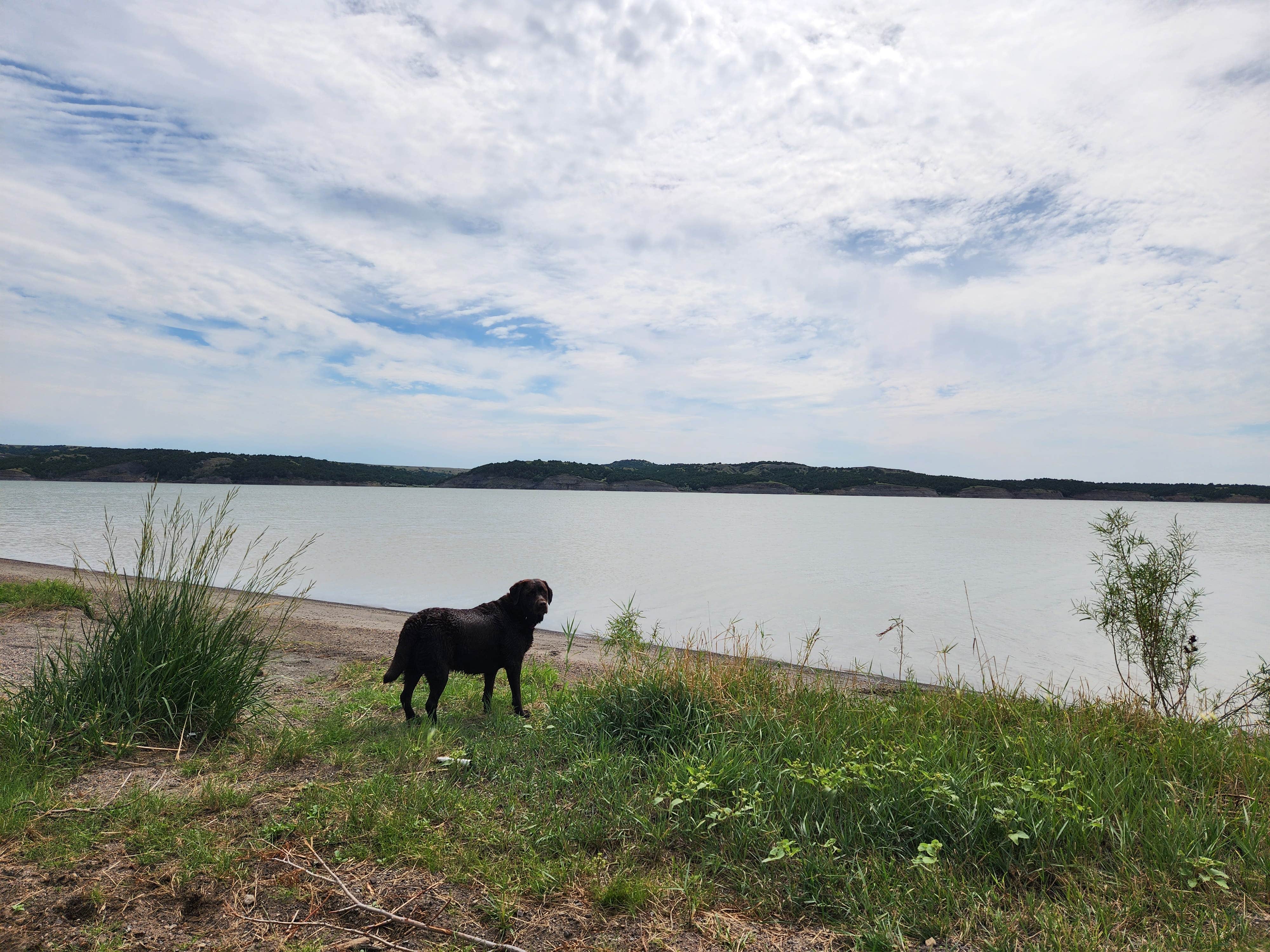 Kathleen A.'s photo of camping with pets at Oacoma Flatts near Platte, SD