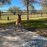 Review photo of Oak Creek RV Park by Cindy M., February 4, 2024