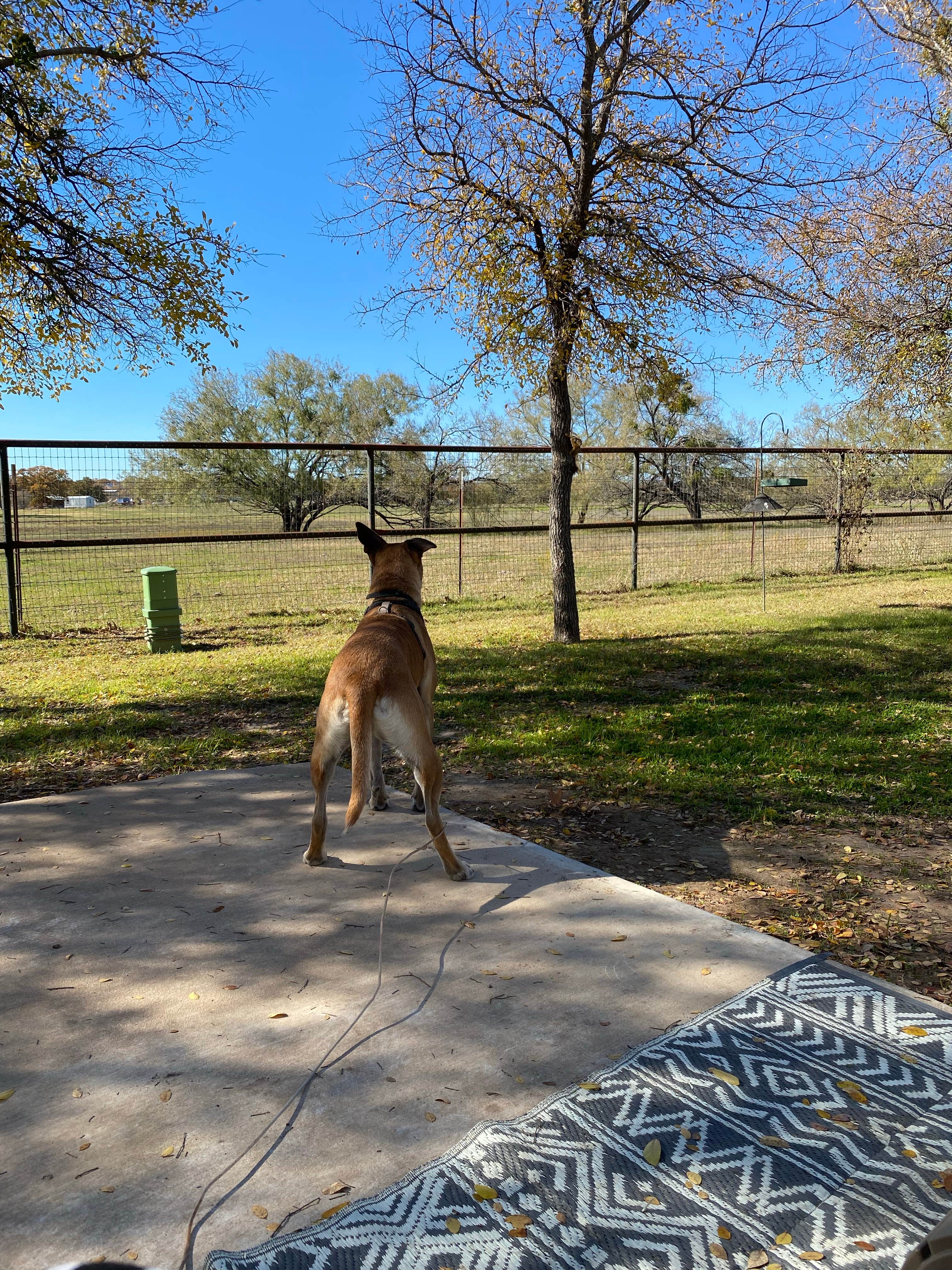 Camper submitted image from Oak Creek RV Park - 3