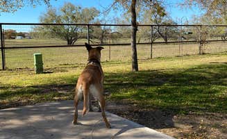 Cindy M.'s photo of camping with pets at Oak Creek RV Park near Fort Worth, TX