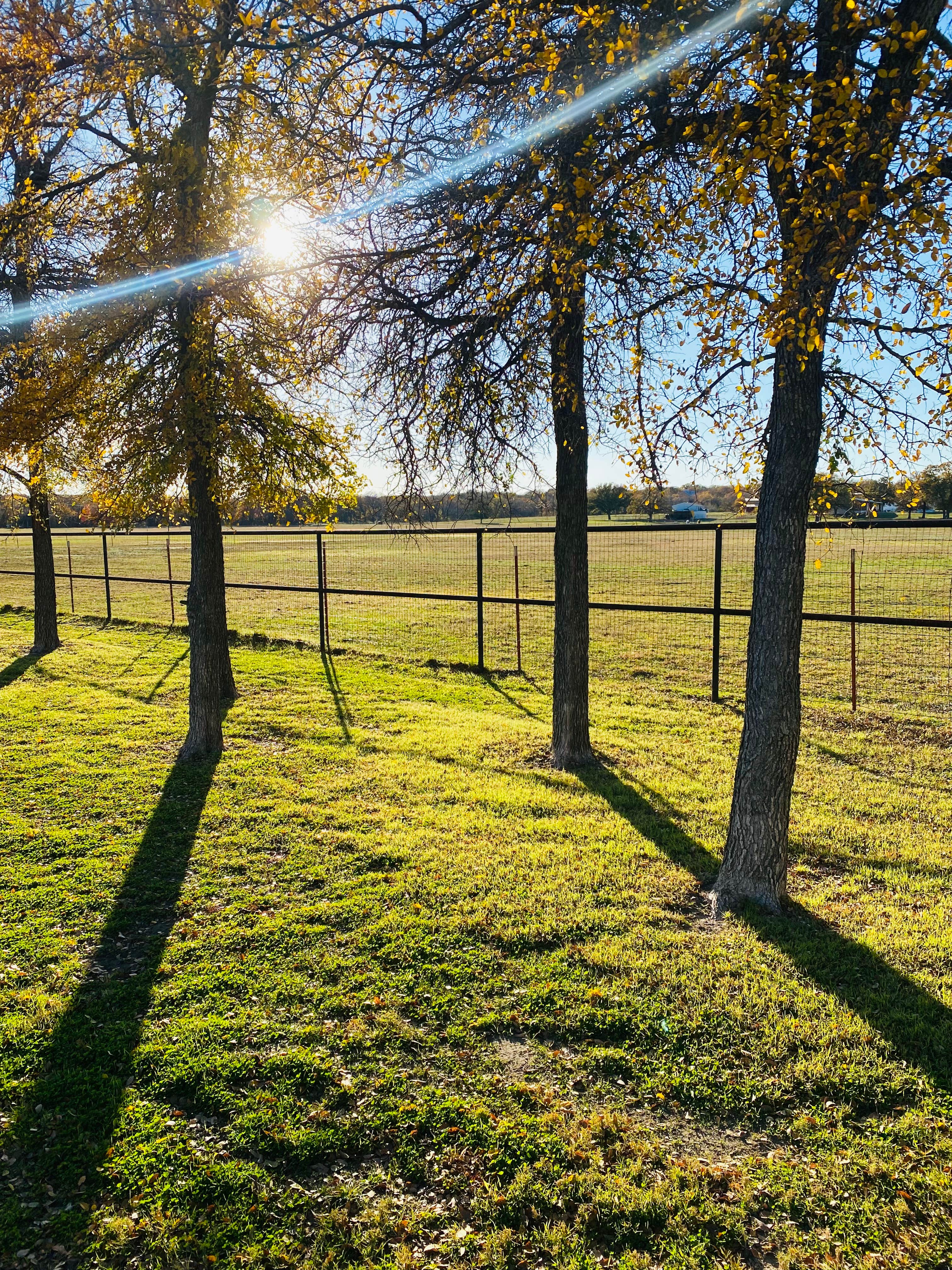 Camper-submitted photo at Oak Creek RV Park near Graford, TX