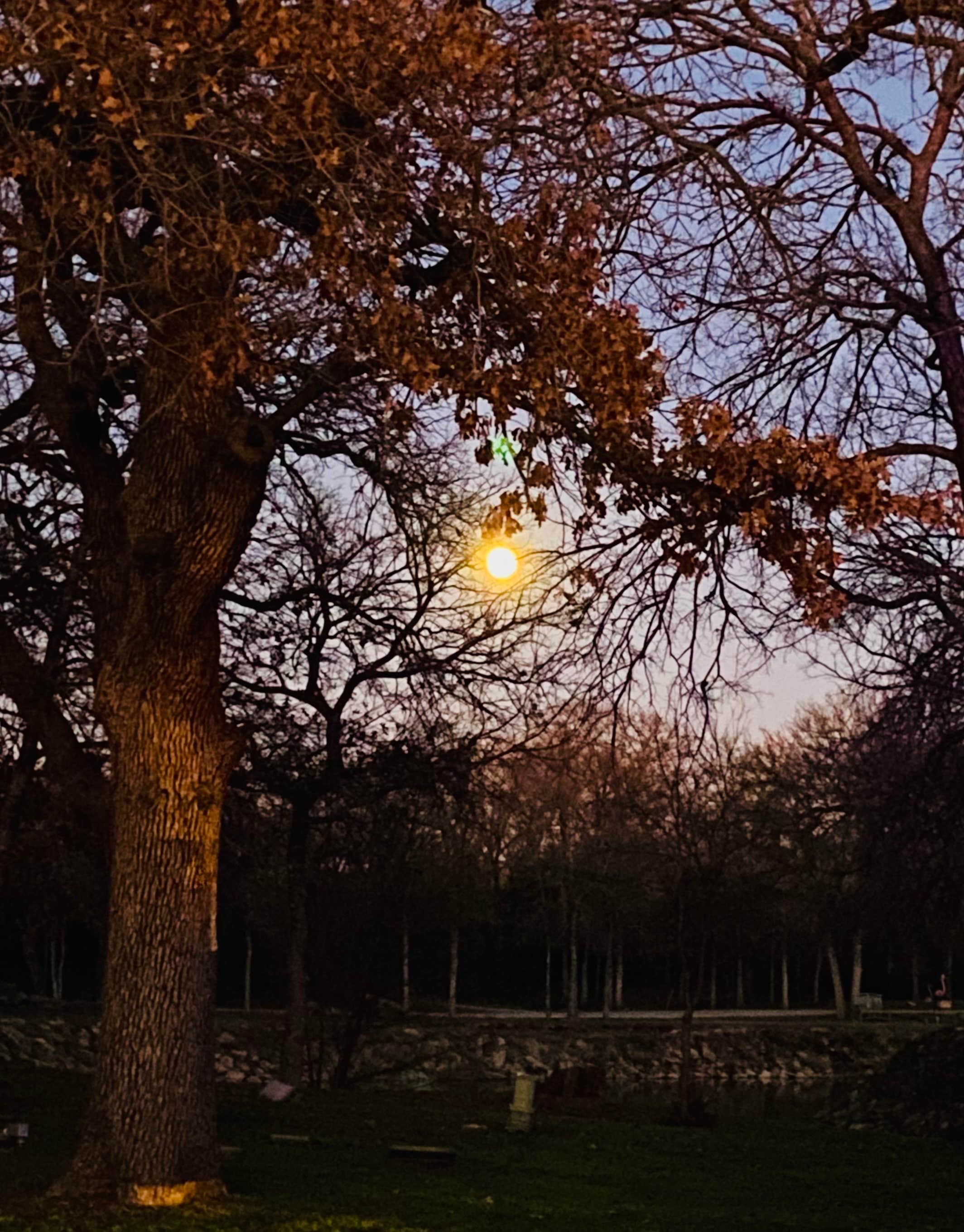 Camper-submitted photo at Oak Creek RV Park near Graford, TX