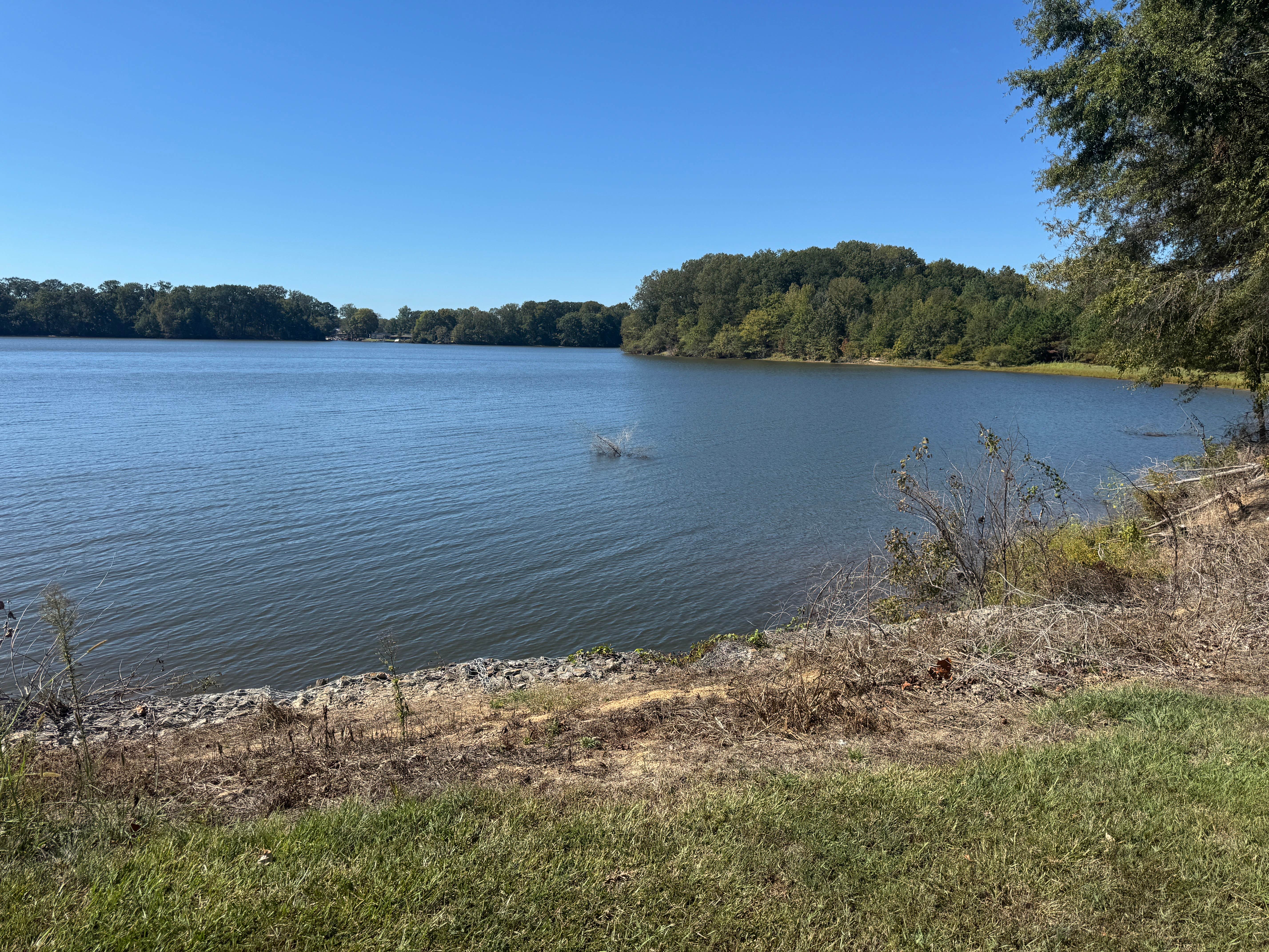 Camper-submitted photo at Oak Grove (MS) — Sardis Lake near Sardis, MS