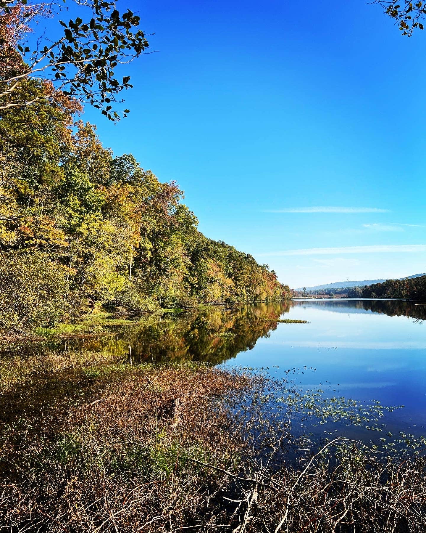 Camper submitted image from Backcountry Site — Oak Mountain State Park - 2