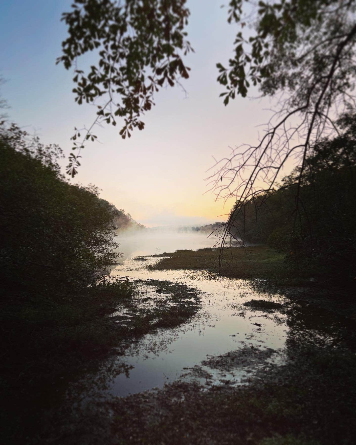 Camper-submitted photo at Backcountry Site — Oak Mountain State Park near Hoover, AL