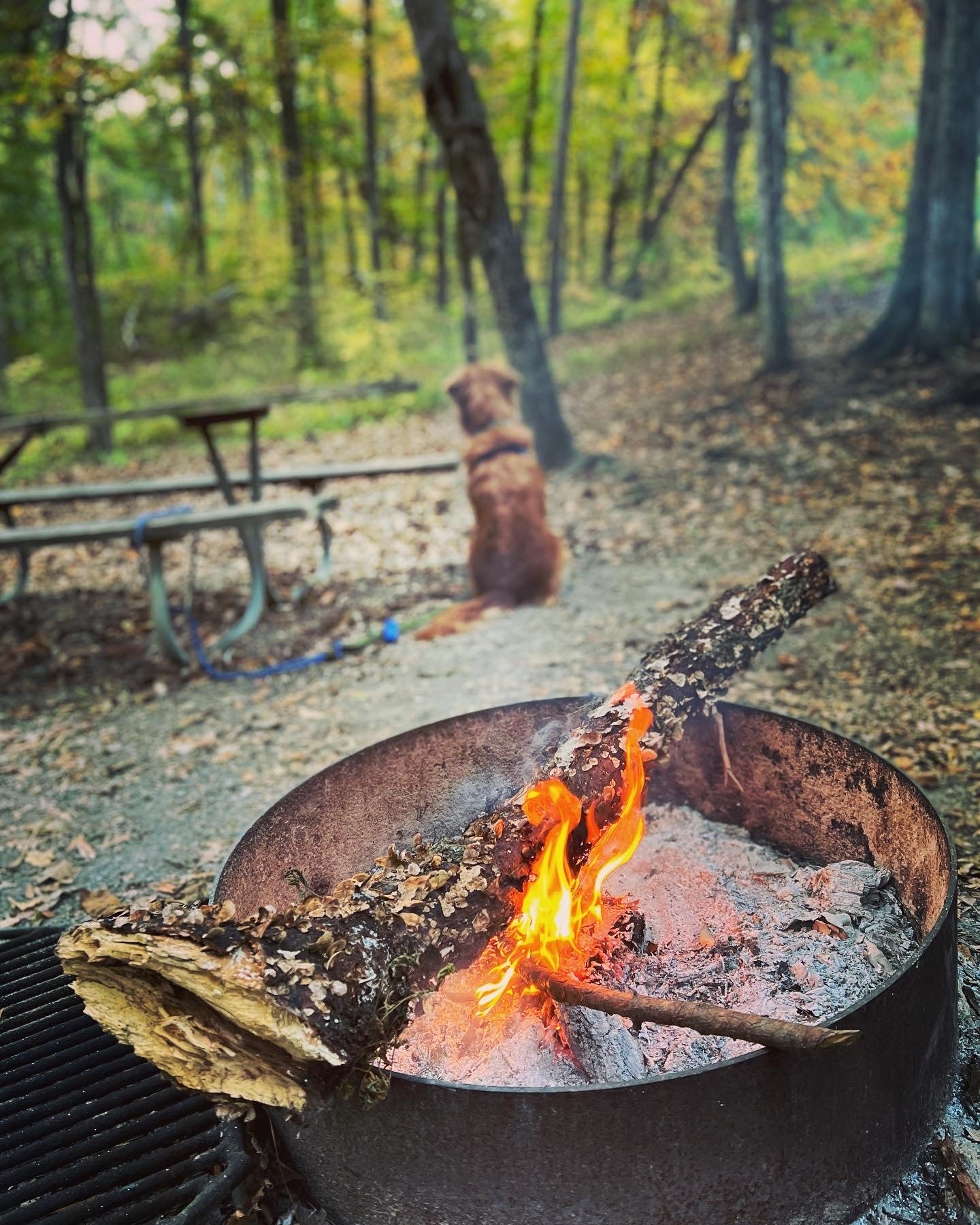 Camper submitted image from Backcountry Site — Oak Mountain State Park - 1