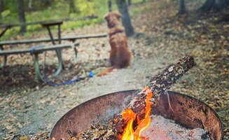 Cat's photo of camping with pets at Backcountry Site — Oak Mountain State Park near Vestavia Hills, AL