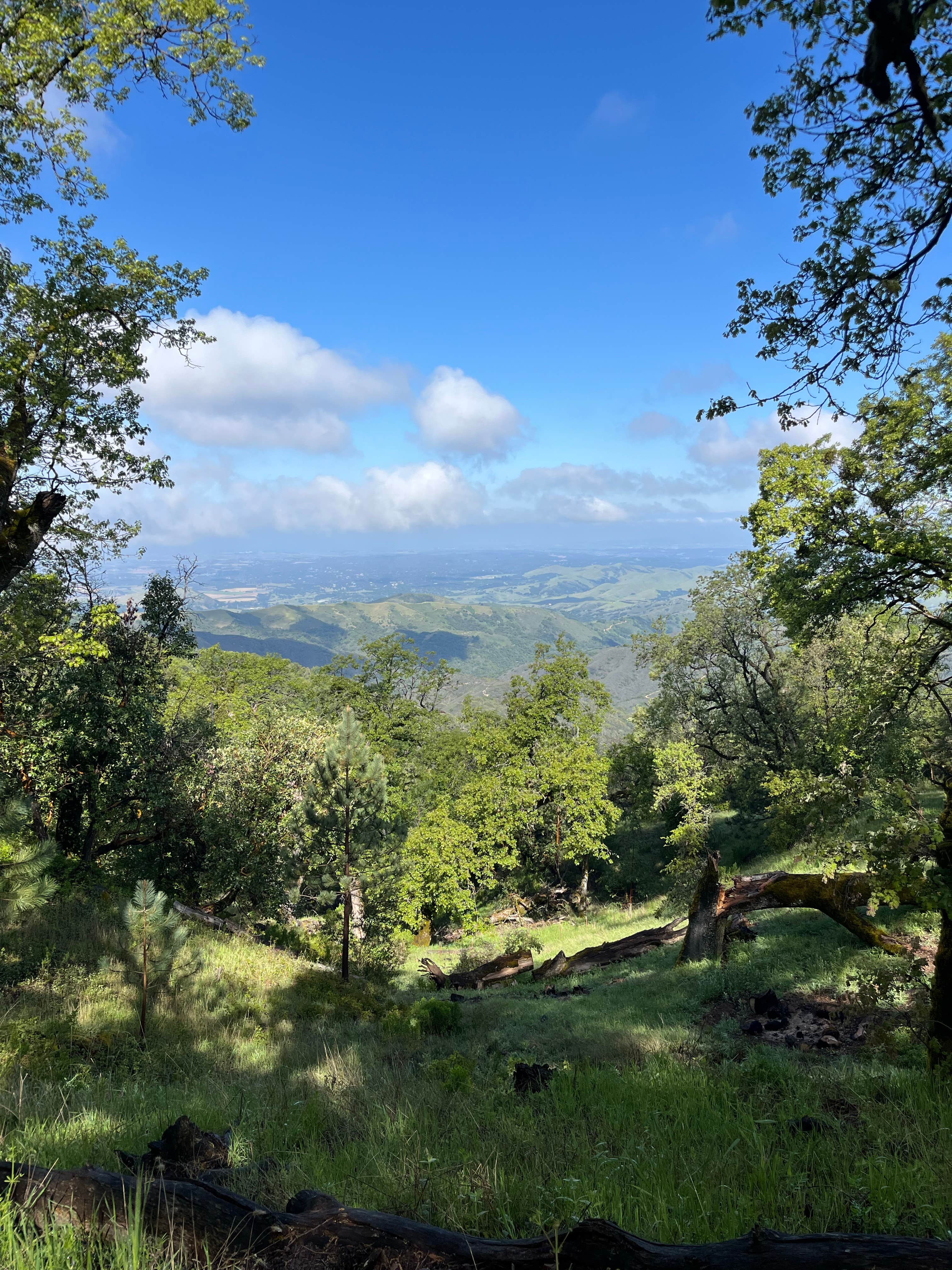 Camper-submitted photo at Valley View Campground — Fremont Peak State Park near Paicines, CA