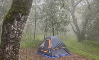 Brittney L.'s photo at Valley View Campground — Fremont Peak State Park near San Juan Bautista, CA