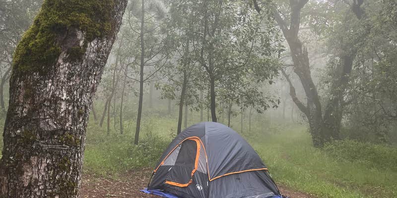 Camper submitted image from Valley View Campground — Fremont Peak State Park
