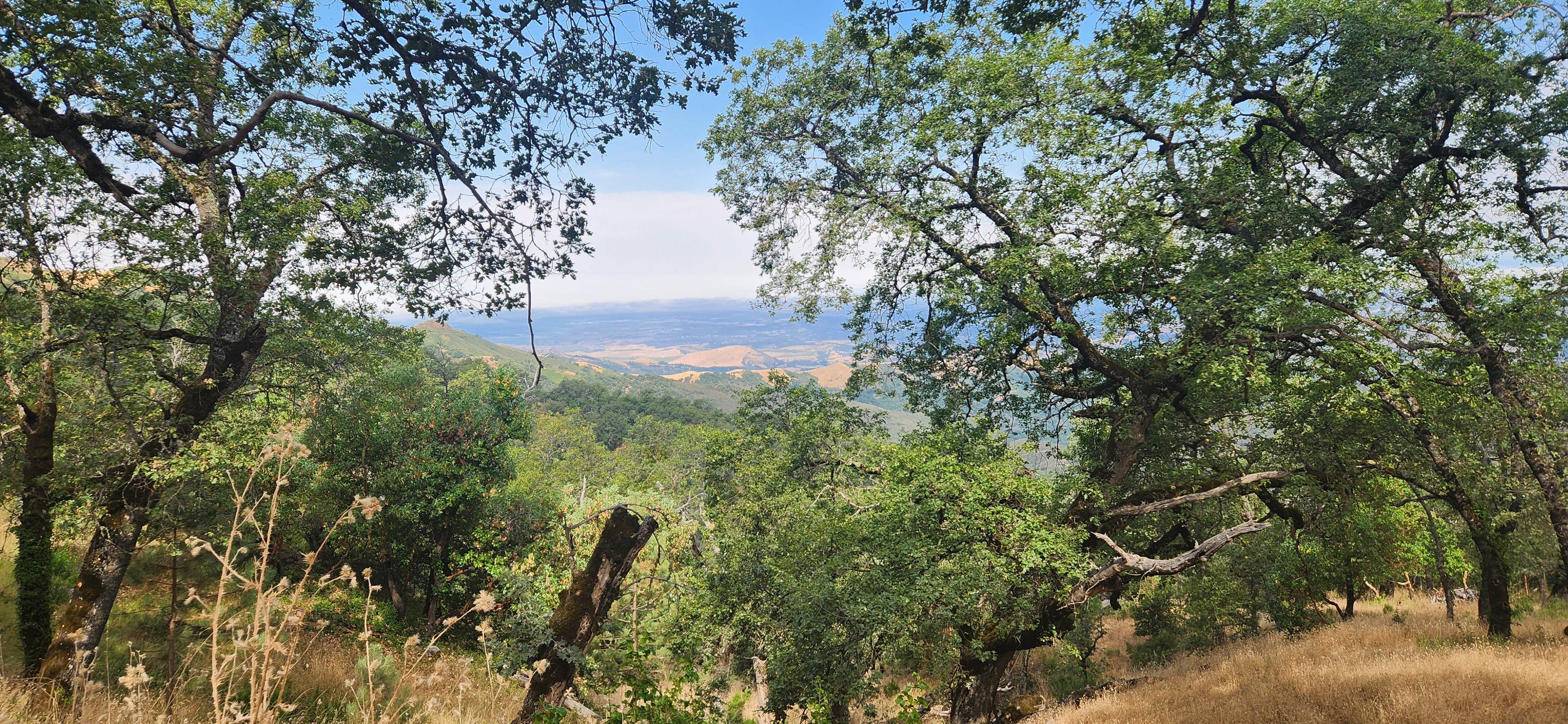 Camper submitted image from Valley View Campground — Fremont Peak State Park - 1