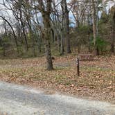 Review photo of Oak Ridge Campground — Prince William Forest Park by Roger W., November 8, 2023