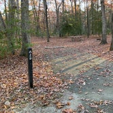 Review photo of Oak Ridge Campground — Prince William Forest Park by Roger W., November 8, 2023