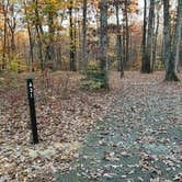 Review photo of Oak Ridge Campground — Prince William Forest Park by Roger W., November 8, 2023