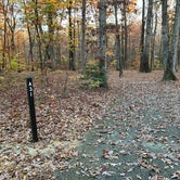 Review photo of Oak Ridge Campground — Prince William Forest Park by Roger W., November 8, 2023