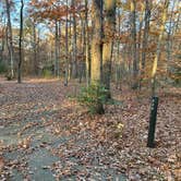 Review photo of Oak Ridge Campground — Prince William Forest Park by Roger W., November 8, 2023