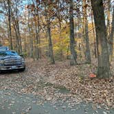 Review photo of Oak Ridge Campground — Prince William Forest Park by Roger W., November 8, 2023