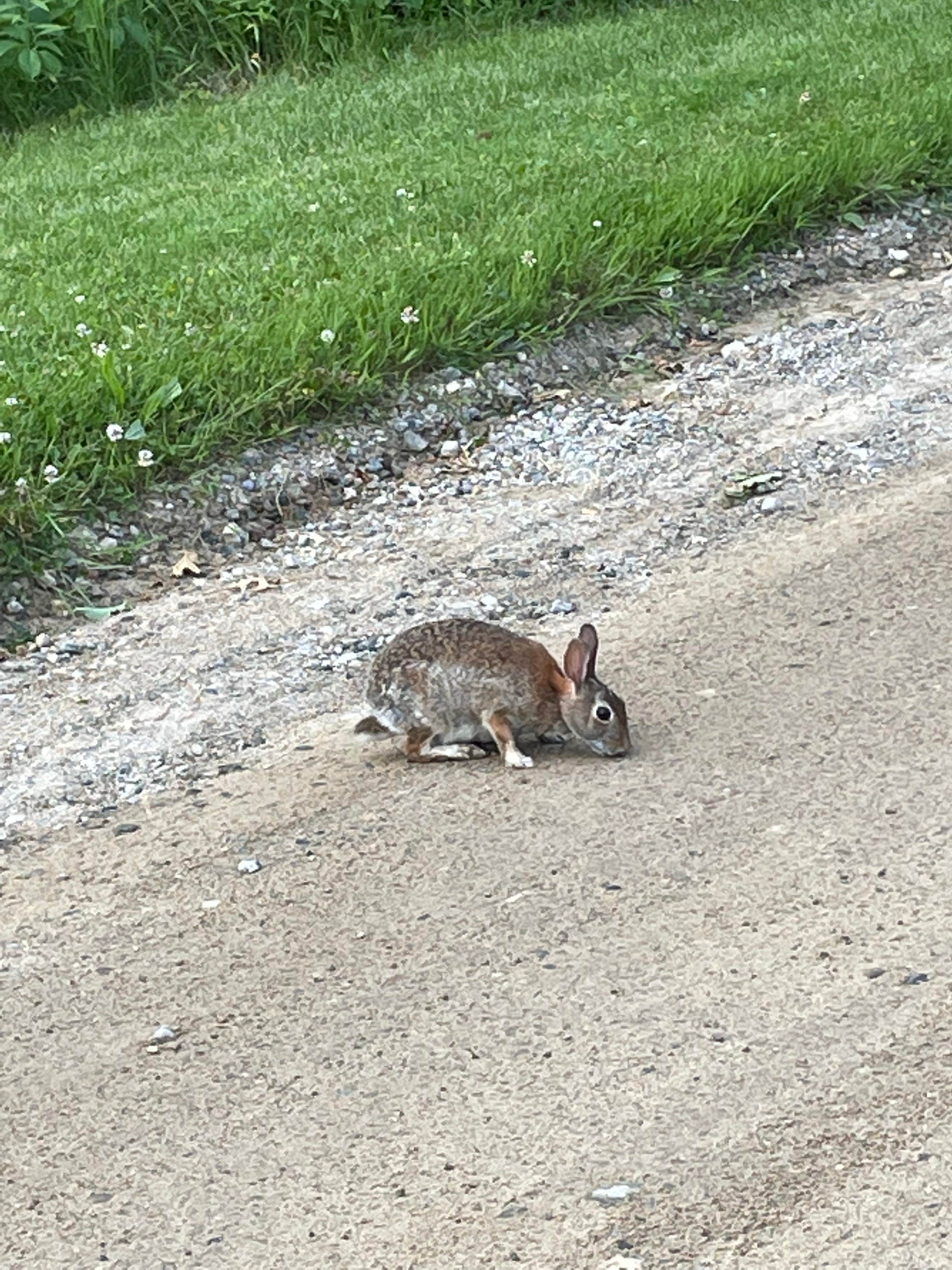 Camper-submitted photo at Oakland County Addison Oaks near Dearborn, MI
