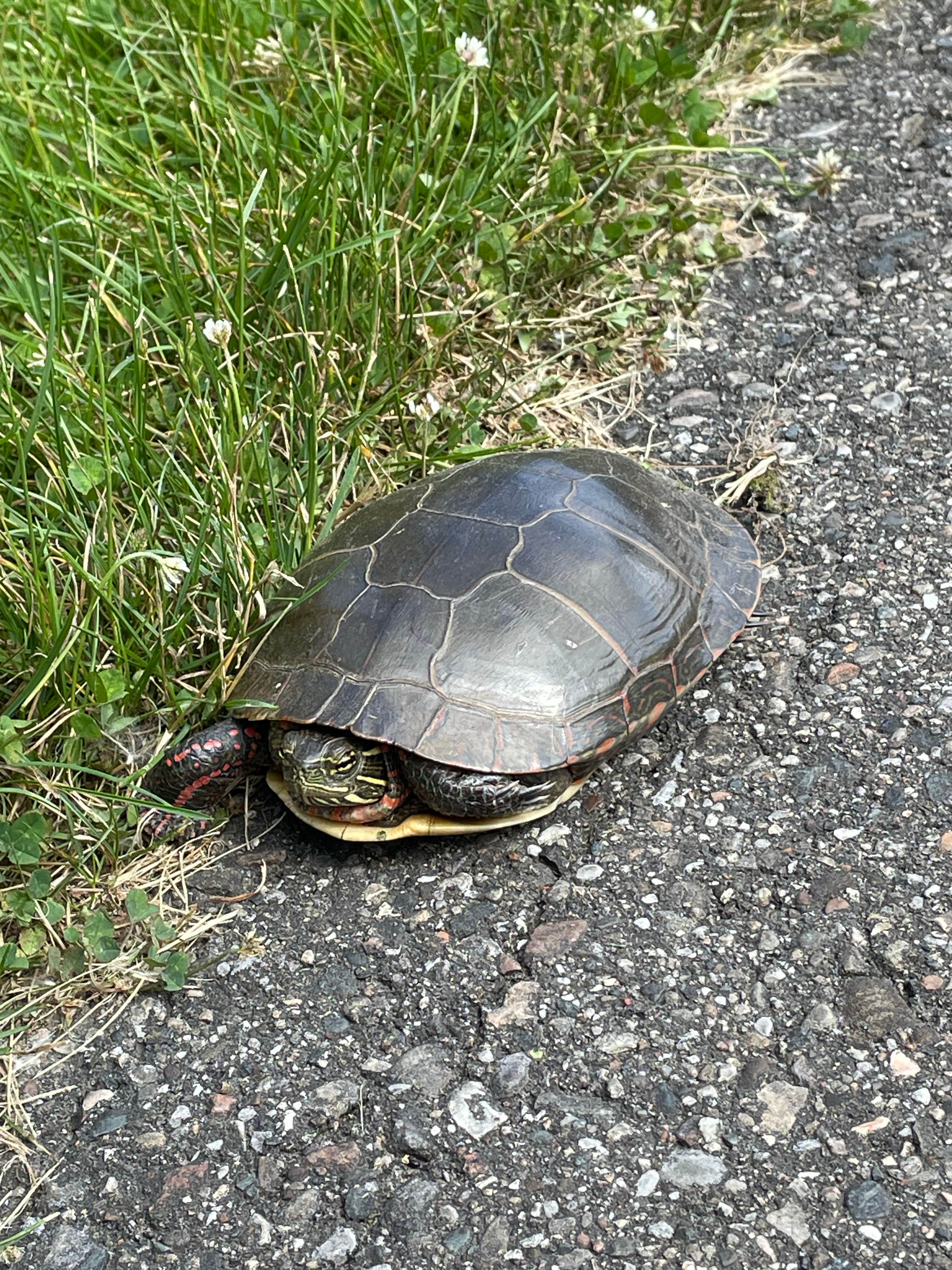 Camper-submitted photo at Oakland County Addison Oaks near Dearborn, MI