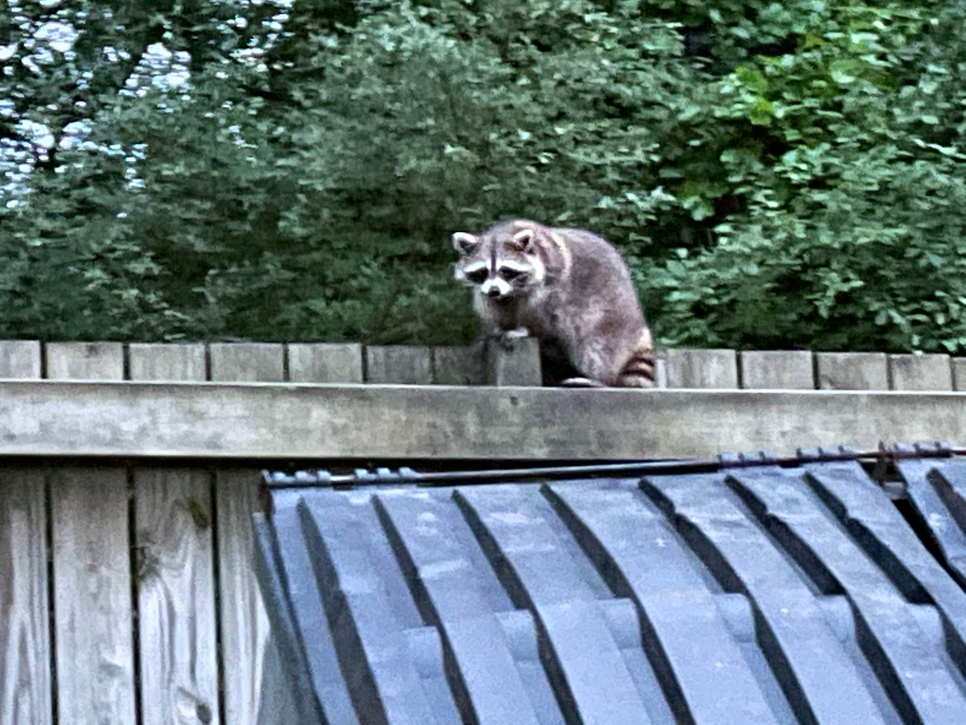 Camper-submitted photo at Oakland County Addison Oaks near Dearborn, MI