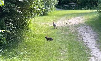 Richard T.'s photo of camping with pets at Oakland County Addison Oaks near Grand Blanc, MI