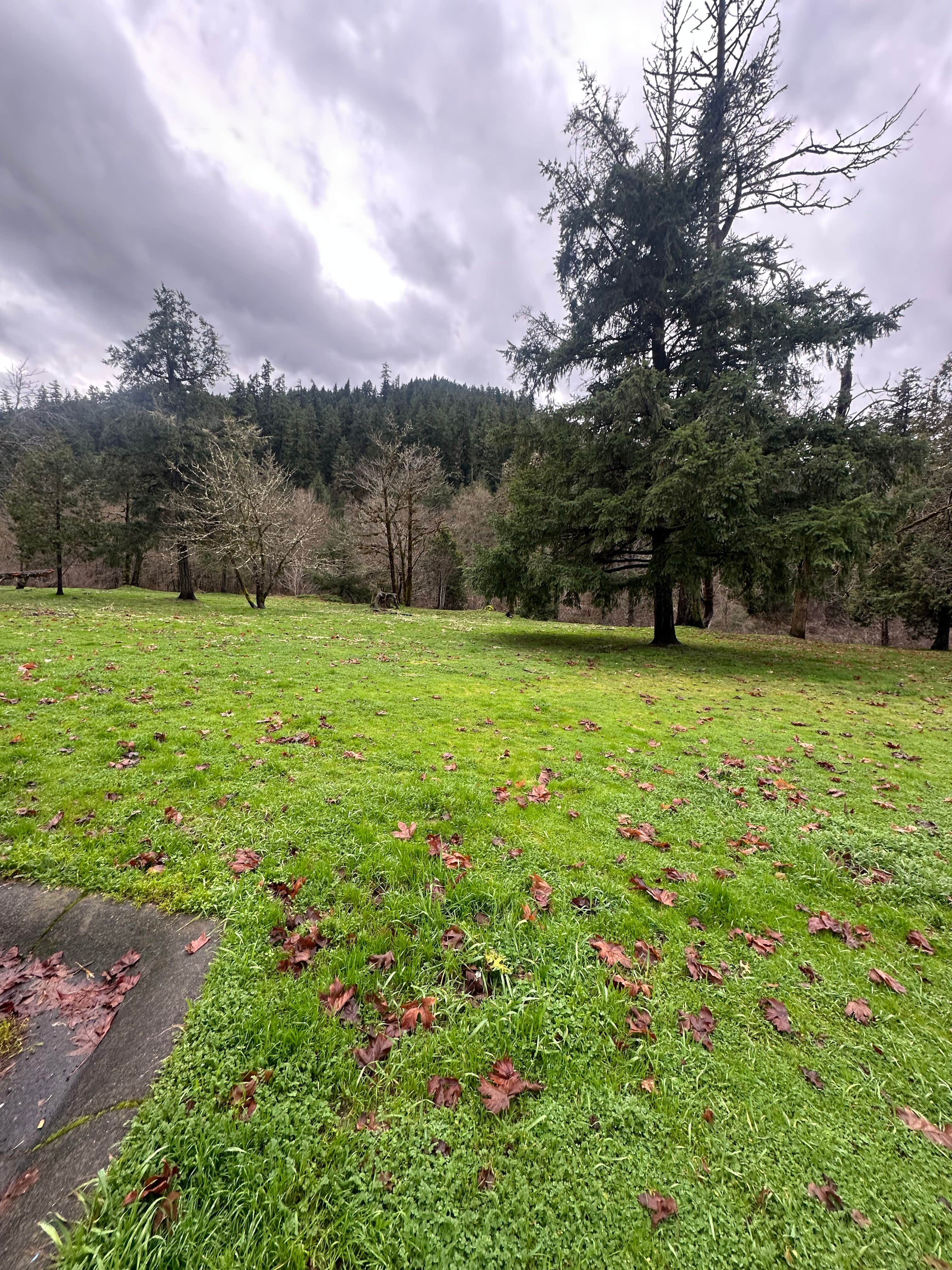 Oakridge Green Waters Rest Area