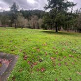 Review photo of Oakridge Green Waters Rest Area by Mo , December 18, 2025