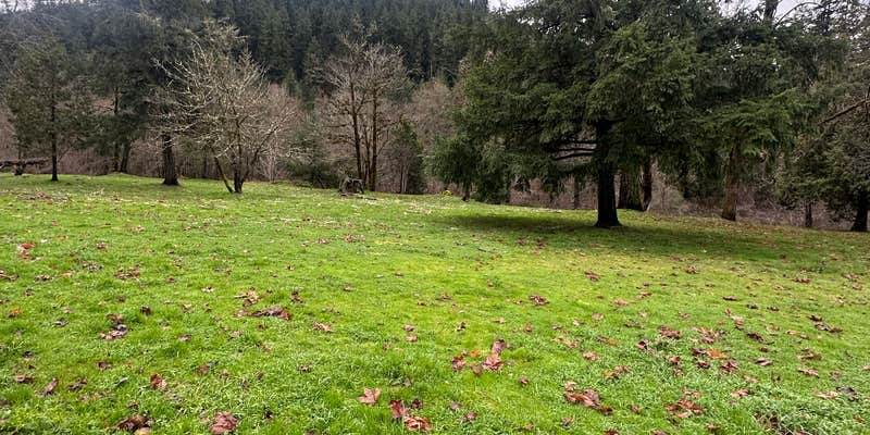 Camper submitted image from Oakridge Green Waters Rest Area