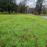 Review photo of Oakridge Green Waters Rest Area by Mo , December 18, 2025