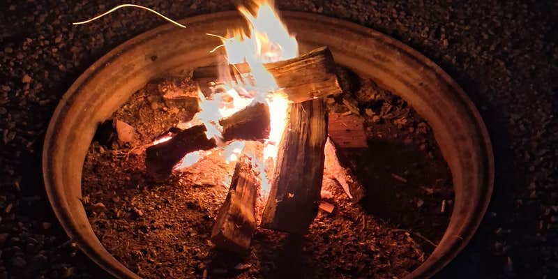 Camper submitted image from Oakwoods Trails Campground