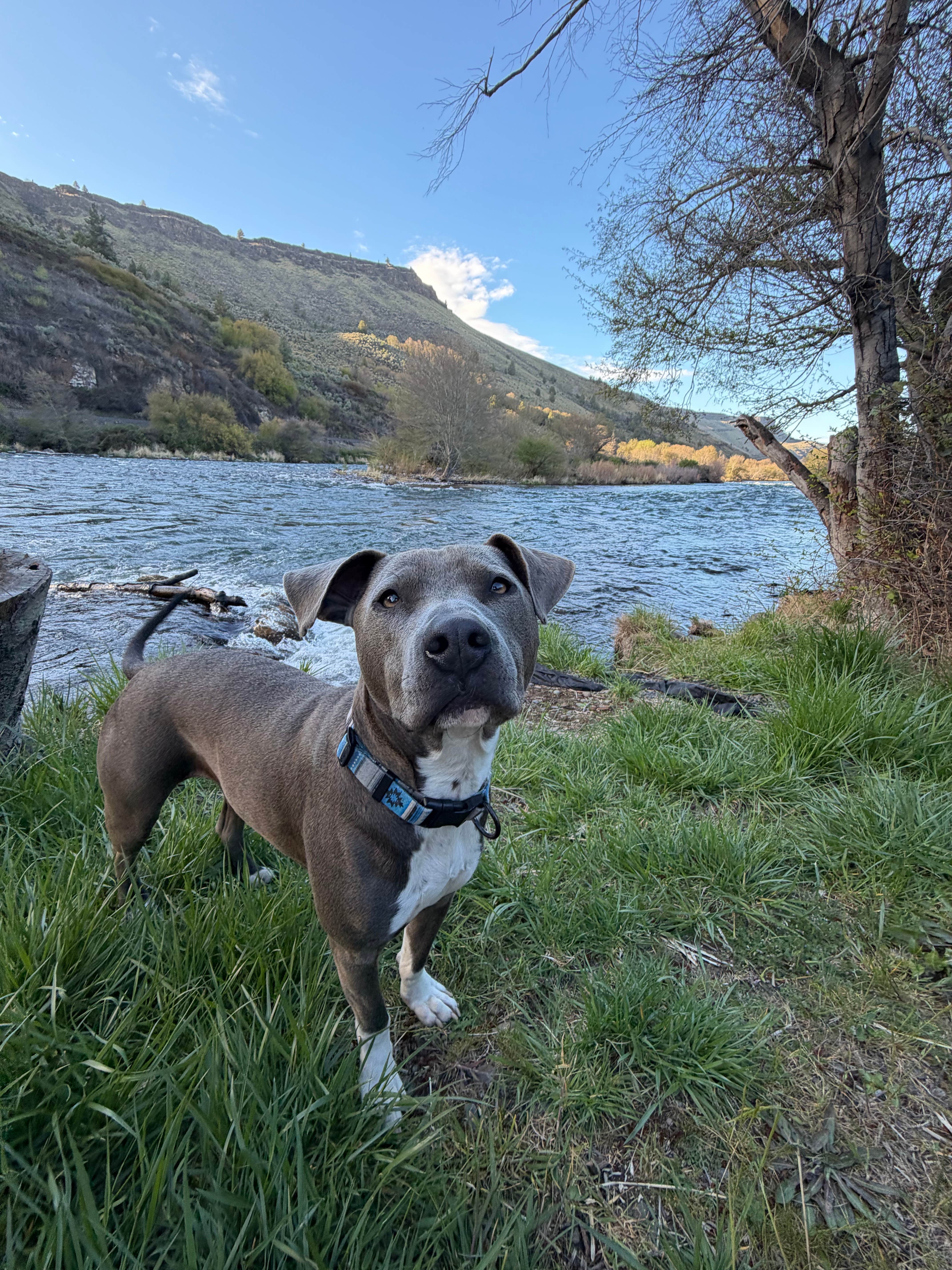 Camper-submitted photo at Oasis BLM Campground near Maupin, OR